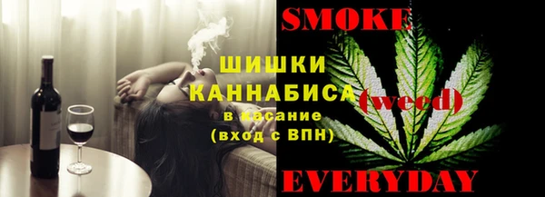 прущий лед Алзамай