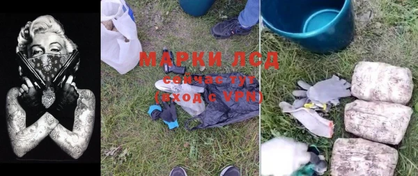 прущий лед Алзамай