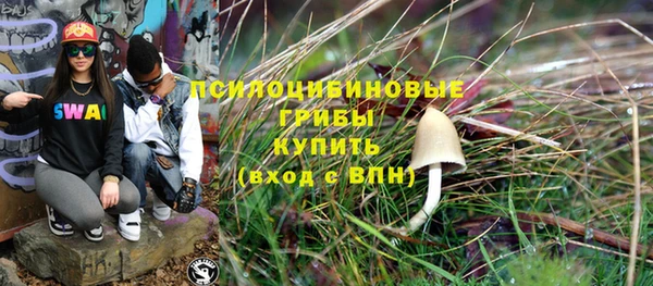 эйфоретик Алексин