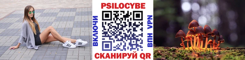 Псилоцибиновые грибы Psilocybe Мураши
